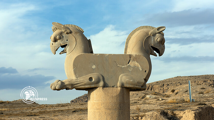 سرستون شیربالدار پرسپولیس